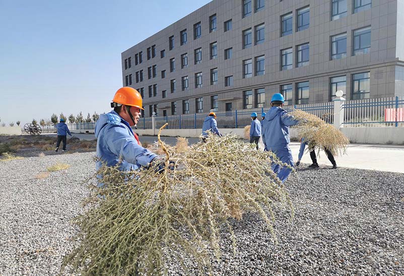 常州送料機廠區清理